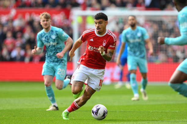 日韩主将战 日韩主将战