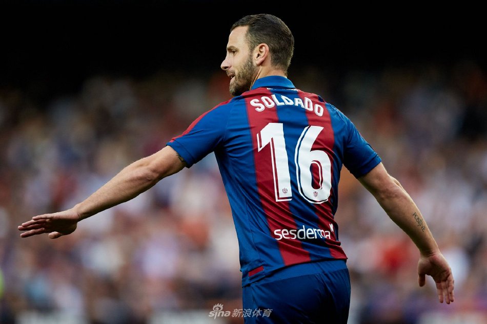 的分析报告 的分析报告